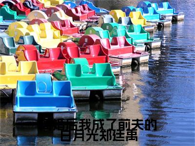 (番外)+(全文)宋暖暖郑廷禹：结局+番外（离婚后我成了前夫的白月光郑廷禹）全文免费阅读无弹窗大结局_(离婚后我成了前夫的白月光郑廷禹：结局+番外)最新章节列表_笔趣阁（离婚后我成了前夫的白月光郑廷禹）