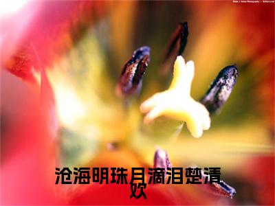 沧海明珠月滴泪楚清欢免费阅读下载全章节_（裴云泽楚清欢结局+番外）完结版全文小说沧海明珠月滴泪楚清欢在线阅读