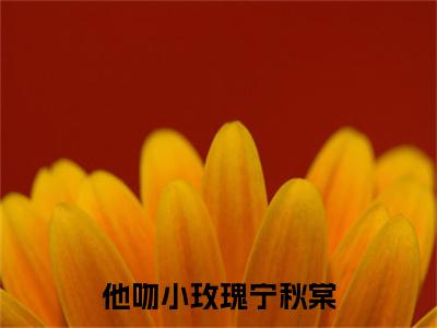 江晟宁秋棠（他吻小玫瑰宁秋棠）全文免费阅读_（江晟宁秋棠）他吻小玫瑰宁秋棠最新章节小说免费阅读_笔趣阁