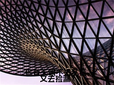 你有天眼不去乱看，又去捡漏？在线阅读（叶辰）全文免费阅读无弹窗大结局_（你有天眼不去乱看，又去捡漏？全文免费阅读）最新章节列表