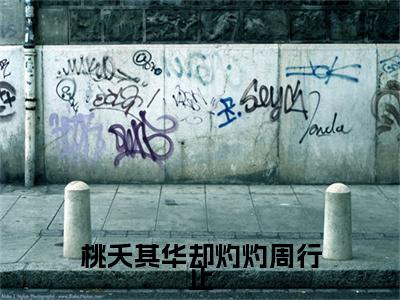 桃夭其华却灼灼周行止（金如歌周行止全文在线阅读）-桃夭其华却灼灼周行止小说（金如歌周行止）免费阅读最新章节列表无弹窗
