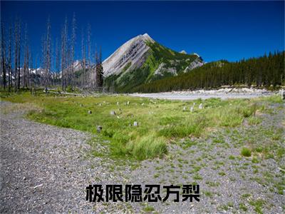 （番外）+（全文）极限隐忍方梨小说免费下载阅读_（极限隐忍方梨）陈屿川方梨最新章节列表_笔趣阁（陈屿川方梨）