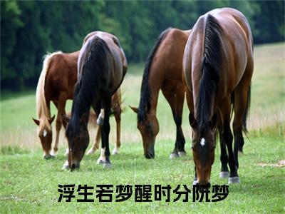 阮梦小说完结篇(浮生若梦醒时分阮梦)章节前文+全篇阅读（阮梦）最近更新