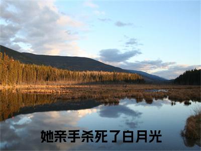（她亲手杀死了白月光）她亲手杀死了白月光小说(周时琛苏婉君)整书在线无广告高口碑小说