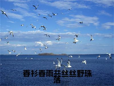 苏在野珠落免费阅读无弹窗大结局_（春衫春雨共丝丝野珠落：结局+番外）苏在野珠落最新章节列表_笔趣阁（春衫春雨共丝丝野珠落：结局+番外）