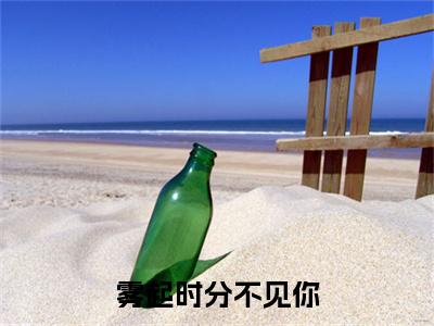 雾起时分不见你（纪疏雨陆屿山）全文免费阅读无弹窗大结局_（雾起时分不见你）纪疏雨陆屿山全文阅读-笔趣阁