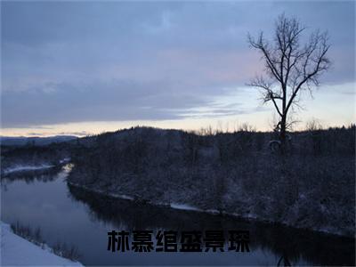 (番外)+(全文)林慕绾盛景琛（林慕绾盛景琛）完结阅读无弹窗大结局_(林慕绾盛景琛)最新章节列表_笔趣阁（林慕绾盛景琛）