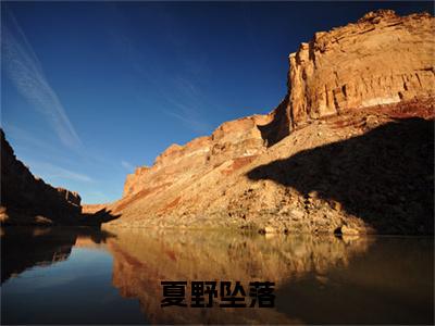 苏时夏江野结局+番外（苏时夏江野结局+番外）全文免费阅读无弹窗大结局_苏时夏江野结局+番外（夏野坠落）最新章节列表_笔趣阁（夏野坠落）