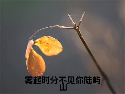 雾起时分不见你陆屿山小说全文（纪疏雨陆屿山）免费阅读全文无弹窗大结局_纪疏雨陆屿山免费阅读无弹窗小说_笔趣阁