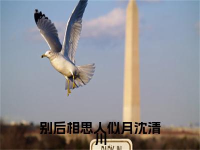 别后相思人似月沈清川小说(宋暮颜沈清川)+起点章节（别后相思人似月沈清川）阅读