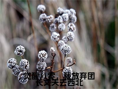 全网首发觉醒八零，我放弃团长丈夫去西北彩蛋(霍澜之苏晓兰)（觉醒八零，我放弃团长丈夫去西北）全本完整阅读无弹窗
