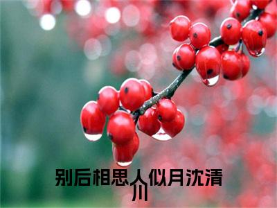 别后相思人似月沈清川：结局+番外(宋暮颜沈清川)全文宋暮颜沈清川阅读无弹窗结局_宋暮颜沈清川+结局最新章节列表_笔趣阁（别后相思人似月沈清川：结局+番外）