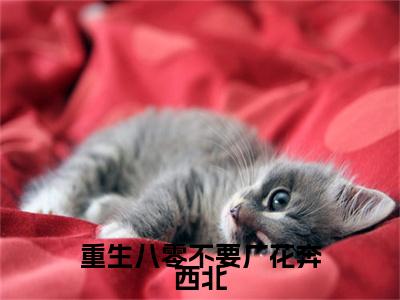 重生八零不要厂花奔西北（傅融祝孙婉芸）全文免费阅读_重生八零不要厂花奔西北（傅融祝孙婉芸）最新章节小说免费阅读