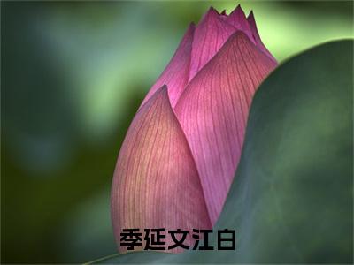 (番外)+(全文)季延文江白：结局+番外(江白季延文)小说最新列表_季延文江白：结局+番外(江白季延文)全文阅读无弹窗季延文江白：结局+番外