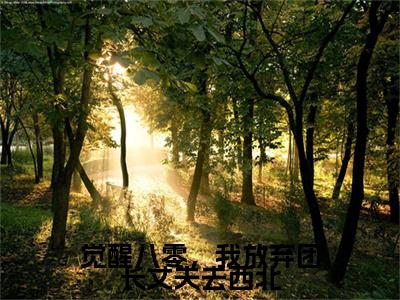觉醒八零，我放弃团长丈夫去西北（霍澜之苏晓兰全文在线阅读）-觉醒八零，我放弃团长丈夫去西北（霍澜之苏晓兰）免费阅读