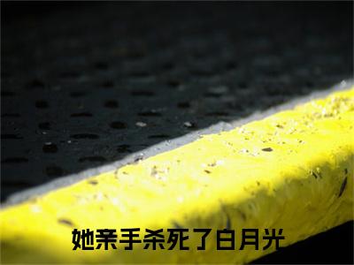 周时琛苏婉君(她亲手杀死了白月光周时琛苏婉君：结局+番外)全文免费阅读无弹窗大结局_(周时琛苏婉君)最新章节列表_笔趣阁(她亲手杀死了白月光周时琛苏婉君：结局+番外)