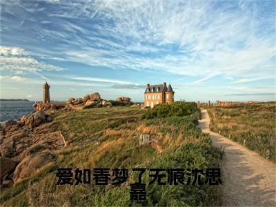 （沈思嘉）爱如春梦了无痕沈思嘉沈思嘉后续一口气无广告全书章节表