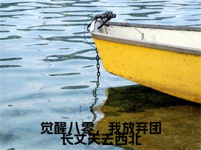 觉醒八零，我放弃团长丈夫去西北霍澜之苏晓兰全文阅读_觉醒八零，我放弃团长丈夫去西北霍澜之苏晓兰全文免费阅读