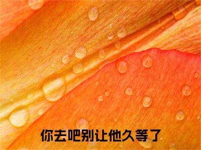 谢晚情沈奕舟你去吧别让他久等了电子书+番外篇章+（你去吧别让他久等了）免费版在线阅读
