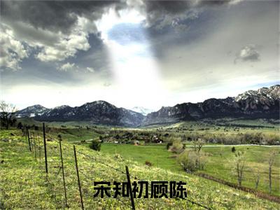 宋知初顾陈：全文+后续+大结局宋知初顾陈全文免费阅读（宋知初顾陈：全文+后续+大结局）全文免费宋知初顾陈阅读无弹窗大结局_心的第七次颤动：全文+后续+大结局小说宋知初顾陈最新章节列表_笔趣阁（宋知初顾陈）