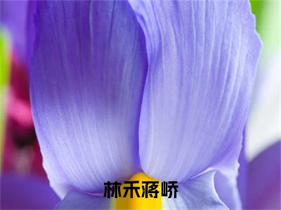 林禾蒋峤：大结局+番外（林禾蒋峤）最新章节列表_林禾蒋峤（林禾蒋峤）林禾蒋峤：大结局+番外在线阅读