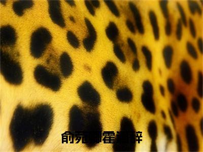 俞菀卿霍澜辞免费阅读（俞菀卿霍澜辞）全文免费阅读无弹窗大结局_俞菀卿霍澜辞免费阅读最新章节列表