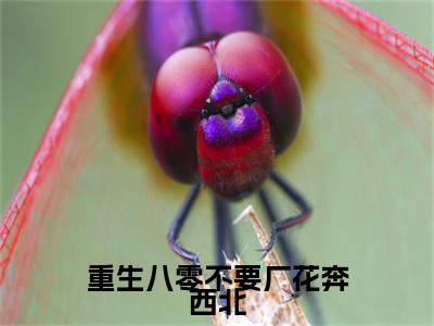 重生八零不要厂花奔西北小说(傅融祝孙婉芸)小说全集阅读连载中（重生八零不要厂花奔西北）_笔趣阁