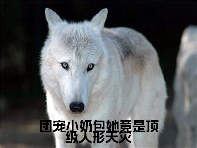 垃宝傅清寒（团宠小奶包她竟是顶级人形天灾）全文免费阅读无弹窗大结局_垃宝傅清寒小说全文大结局
