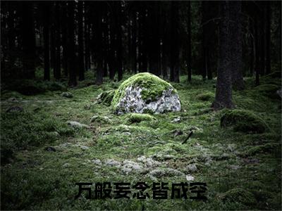 傅临安楚璃是什么小说(万般妄念皆成空)（傅临安楚璃）全本完整清爽版在线+无广告结局