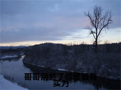 新章速递魏坪政魏瑕小说小说结尾阅读无广告（哥哥别装了你是真有实力）