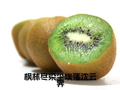 (枫林尽染尘埃落沈云霁：结局+番外)全集免费(林芷凝沈云霁)全文免费阅读无弹窗大结局_枫林尽染尘埃落沈云霁：结局+番外最新章节列表_笔趣阁林芷凝沈云霁