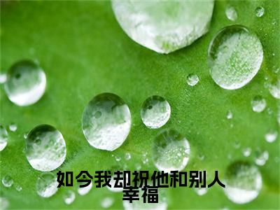 封南笙容玦（如今我却祝他和别人幸福）免费全文阅读小说_（封南笙容玦）如今我却祝他和别人幸福最新章节列表