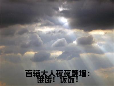 首辅大人夜夜翻墙：饿饿！饭饭！（覃宛陆宰执）全文免费阅读无弹窗大结局_（首辅大人夜夜翻墙：饿饿！饭饭！）最新章节列表_笔趣阁（覃宛陆宰执）