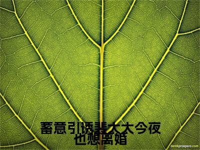 裴尧陆柒（蓄意引诱裴太太今夜也想离婚小说）全文免费阅读无弹窗大结局_（裴尧陆柒）蓄意引诱裴太太今夜也想离婚小说最新章节列表