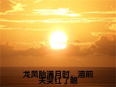 乔一沈言辞小说热门（龙凤胎满月时，渣前夫哭红了眼结局+番外）txt阅读大结局-抖音近期热门龙凤胎满月时，渣前夫哭红了眼结局+番外全文免费