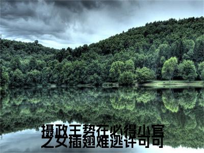 摄政王势在必得小官之女插翅难逃许可可续集(许可可)全本完整免费版_起点章节+后续（摄政王势在必得小官之女插翅难逃许可可）