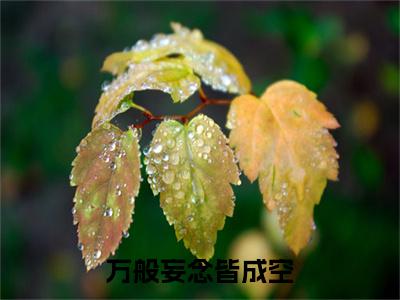 万般妄念皆成空（傅临安楚璃）全文免费阅读无弹窗大结局_（傅临安楚璃）万般妄念皆成空最新章节列表