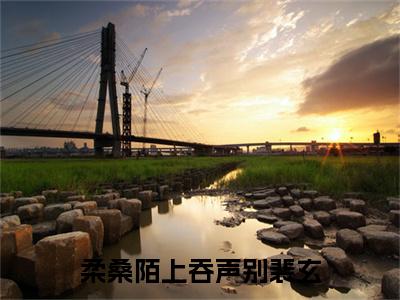 柔桑陌上吞声别裴玄灵音裴玄小说无删减阅读清爽版（灵音裴玄）外篇+续集