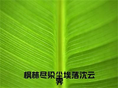 枫林尽染尘埃落沈云霁小说全文（林芷凝沈云霁）免费阅读全文无弹窗大结局_林芷凝沈云霁免费阅读无弹窗小说_笔趣阁