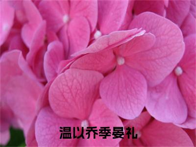 温以乔季晏礼温以乔季晏礼小说无删减阅读无干扰（温以乔季晏礼）番外+续集