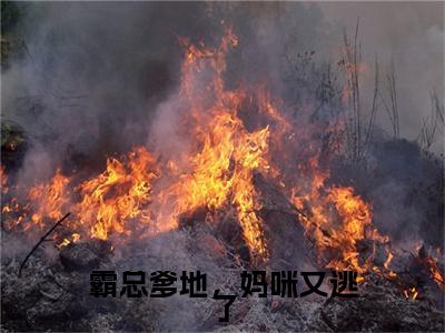 霸总爹地，妈咪又逃了结局+番外下载番外（顾北辰桑苒苒）热推完整版小说阅读_霸总爹地，妈咪又逃了结局+番外全文免费阅读笔趣阁（顾北辰桑苒苒）