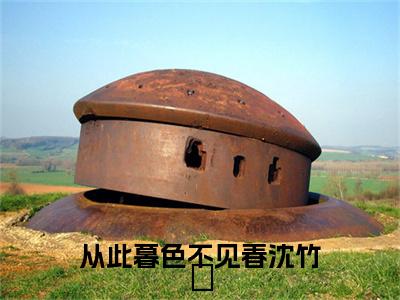 （傅彦礼沈竹晞）傅彦礼沈竹晞小说(从此暮色不见春沈竹晞)小说全集速览无广告高口碑小说