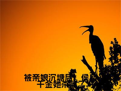 被亲娘沉塘后，侯府千金她杀疯了（沈涵熙）全文免费阅读无弹窗大结局_沈涵熙最新章节列表