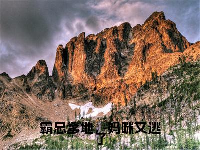 高分_霸总爹地，妈咪又逃了小说(顾北辰桑苒苒)（霸总爹地，妈咪又逃了）全本完整阅读