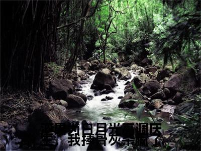 渣男为白月光高调庆生，我捧骨灰杀疯了小说(宁南雪)外篇+结局（渣男为白月光高调庆生，我捧骨灰杀疯了）全篇在线阅读