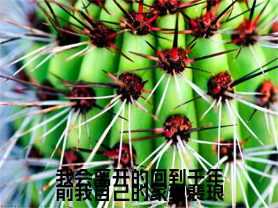我会离开的回到千年前我自己的家纪裴琅（傅清意纪裴琅）小说全文免费阅读正版无弹窗_（傅清意纪裴琅）最新章节列表笔趣阁