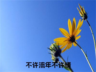 不许流年不许情：番外+无删减版（姜亦绾时聿川）全文在线阅读无弹窗大结局_（姜亦绾时聿川）不许流年不许情：番外+无删减版在线阅读无弹窗最新章节列表_笔趣阁（姜亦绾时聿川）