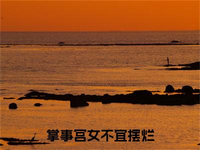 陈照夜：全文+结局+番外（掌事宫女不宜摆烂）全文免费阅读无弹窗大结局_(陈照夜：全文+结局+番外)最新章节列表_笔趣阁（掌事宫女不宜摆烂）