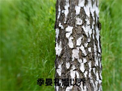 温以乔季晏礼（温以乔季晏礼）小说全文免费阅读正版无弹窗_季晏礼温以乔小说免费阅读全文无弹窗_笔趣阁