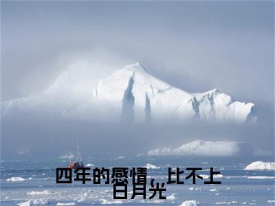 (番外)+(全文)四年的感情，比不上白月光：番外+全文+后续（时浅浅段泽川）完整版小说阅读_四年的感情，比不上白月光：番外+全文+后续免费阅读_笔趣阁（时浅浅段泽川）